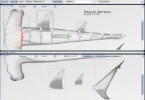 3D Fish editor - Top view and texture view of the Hammerhead Shark model